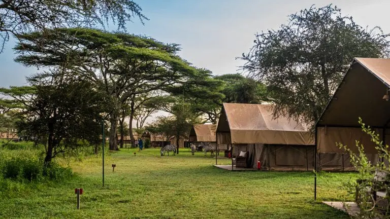 Africa Safari Serengeti Ndutu