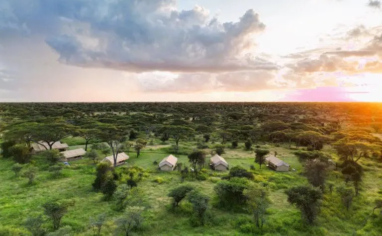 Africa Safari South Serengeti