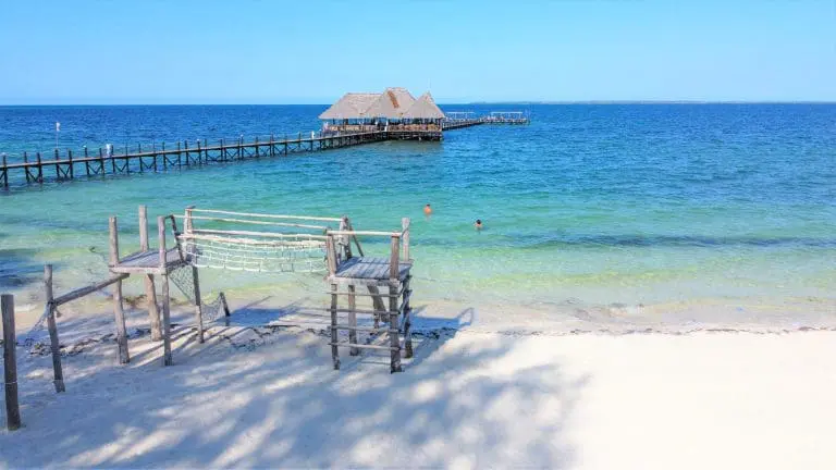 Tanzanian Luxury Safari and Zanzibar Beach Holiday