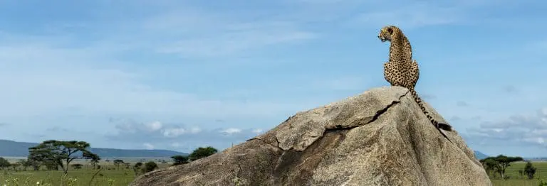 Tanzania Safari and Zanzibar Beach Holiday