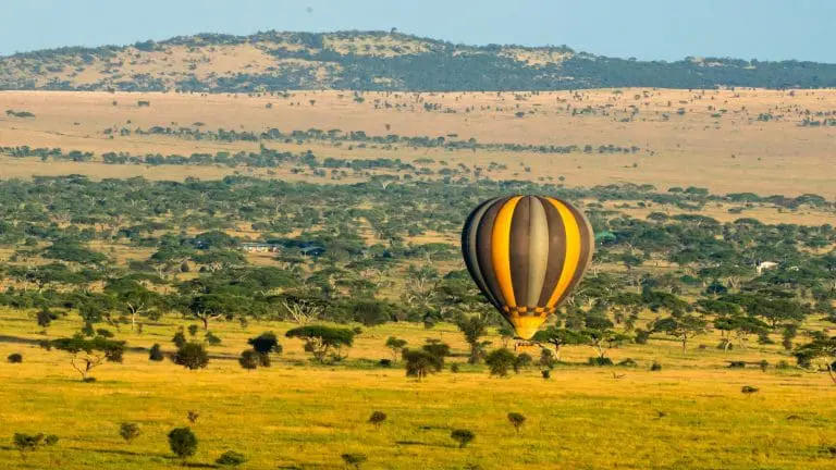 Hot Air Balloon Safari