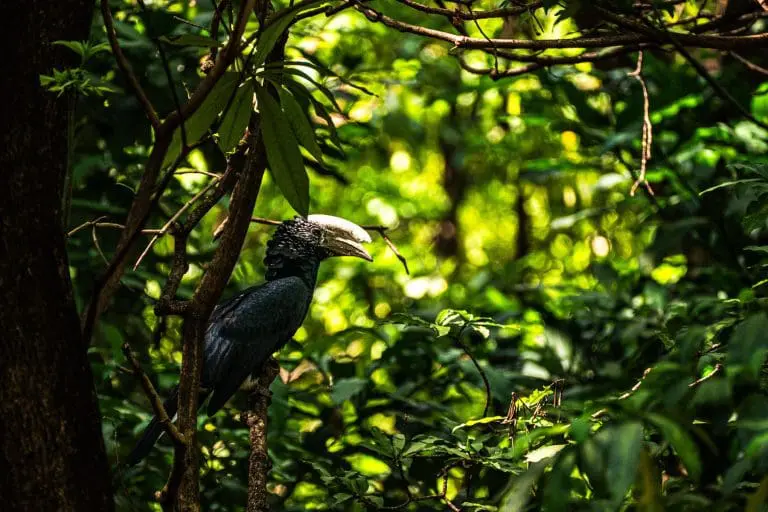 Day Safari from Arusha: Lake Manyara National Park