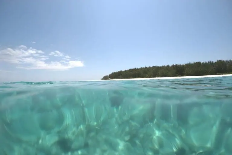 Mnemba Snorkelling