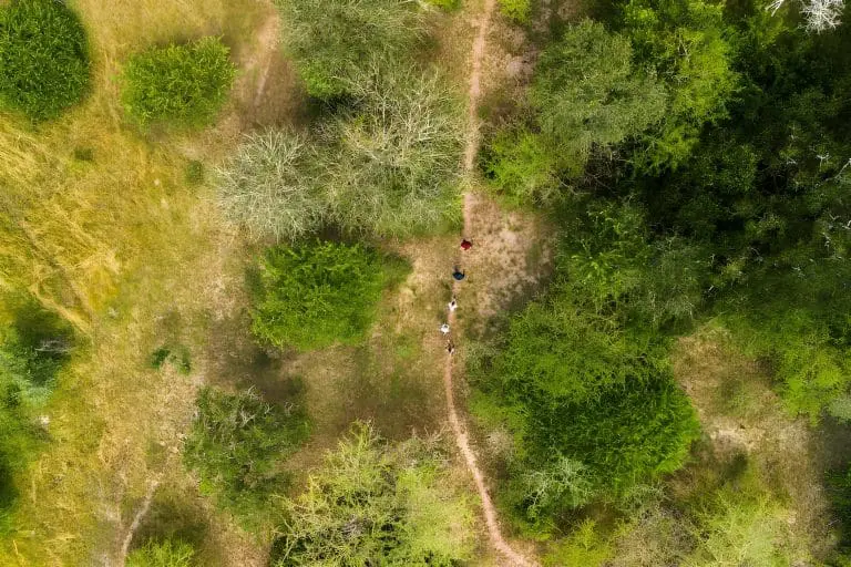 Walking Safari Selous Game Reserve