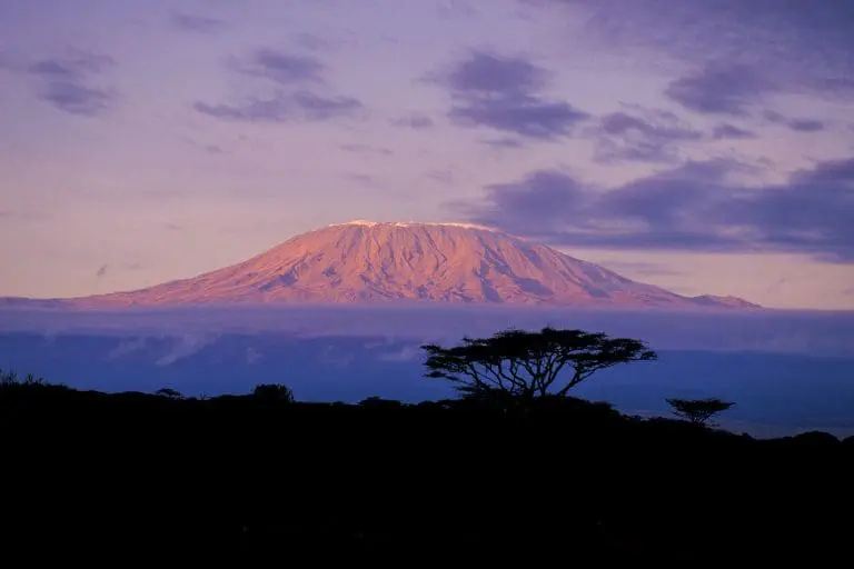 6 Day Rongai Route Kilimanjaro