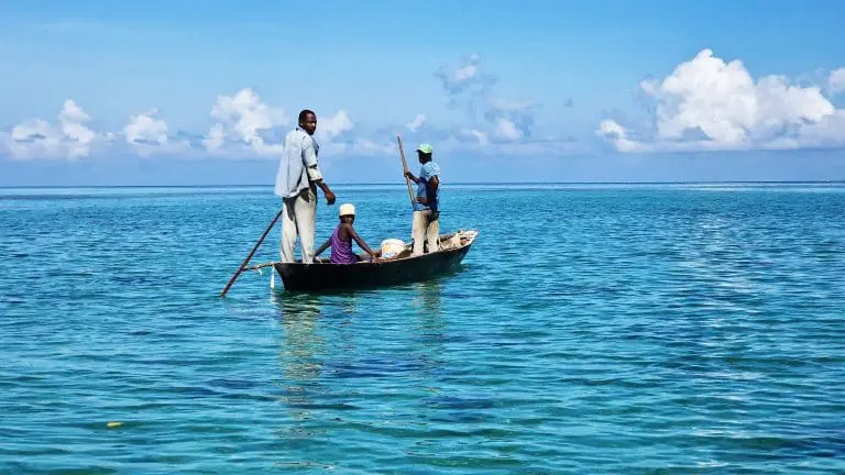 From Bush to Beach: The Ultimate Luxury Escape