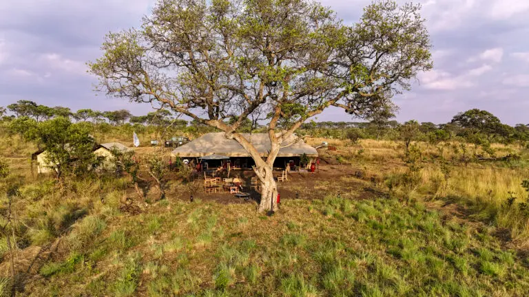 Africa Safari Serengeti Kogatende