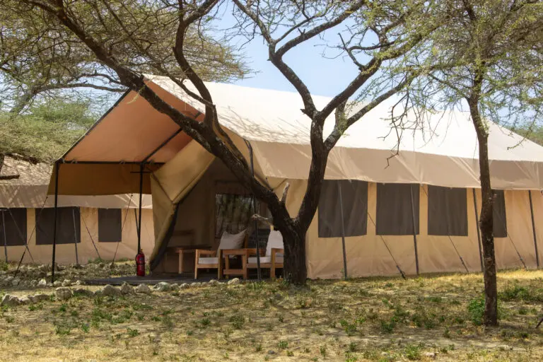 Africa Safari Serengeti Ndutu