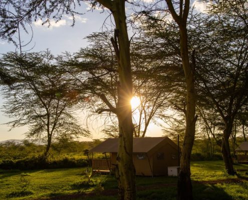 Sunset in the tranquil and serene Africa Lake Manyara Lodge