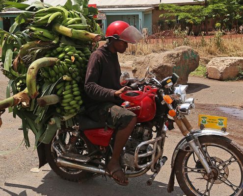 A motorcycle rider transporting green cooking bananas in Mto Wa Mbu- you will see the local culture and village life during your 10 Days Tanzania Budget Safari