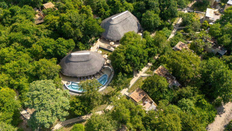 Safari Africa Nyerere
