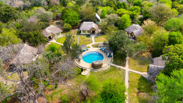 Safari in Africa, Selous