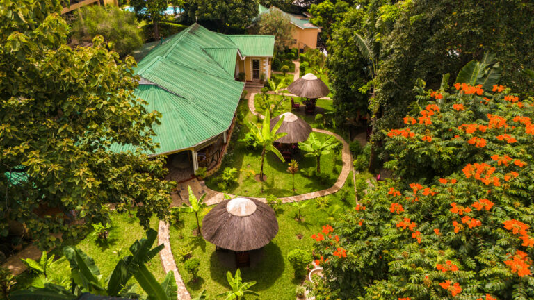 Africa Safari Arusha