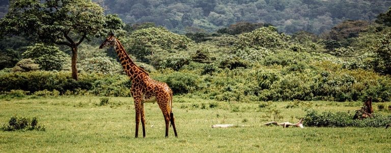 Arusha National Park