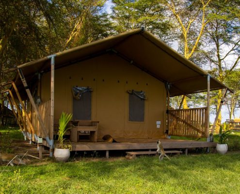 You will be staying in comfortable fully furnished en-suite tents during your 5 Days Safari Tanzania. This picture is from the Africa Safari Lake Manyara Lodge.