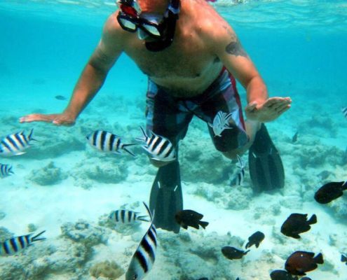 Explore the fantastic underwater world with our Zanzibar Holidays Extension packages