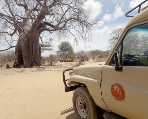 A Shemeji Safari truck and an ancient Baobab Tree on the border to the Tarangire National Park