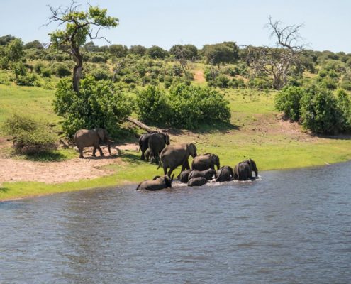 An elephant family enjoying the refreshing waters of the Tarangire River