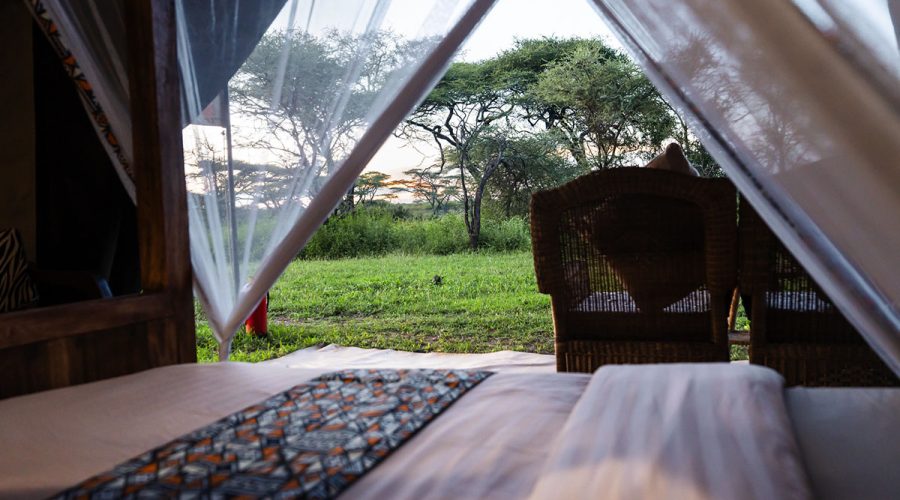 Africa Safari Serengeti Kusini Safari Luxury Glamping