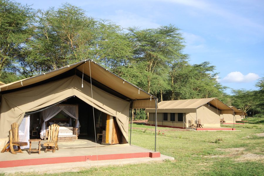 Africa Safari Serengeti Kusini Welcome