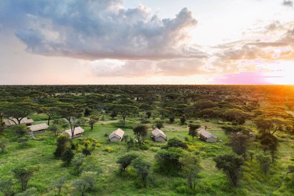 Africa Safari South Serengeti 01