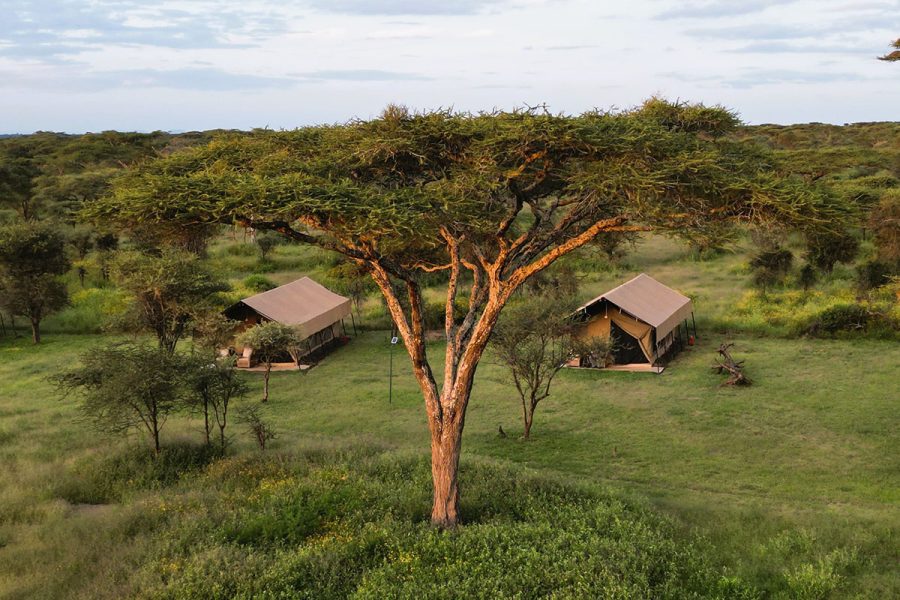 Africa Safari South Serengeti 02