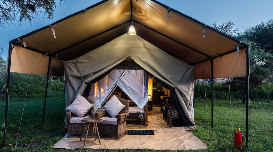 Africa Safari South Serengeti Safari Comfort Accommodation