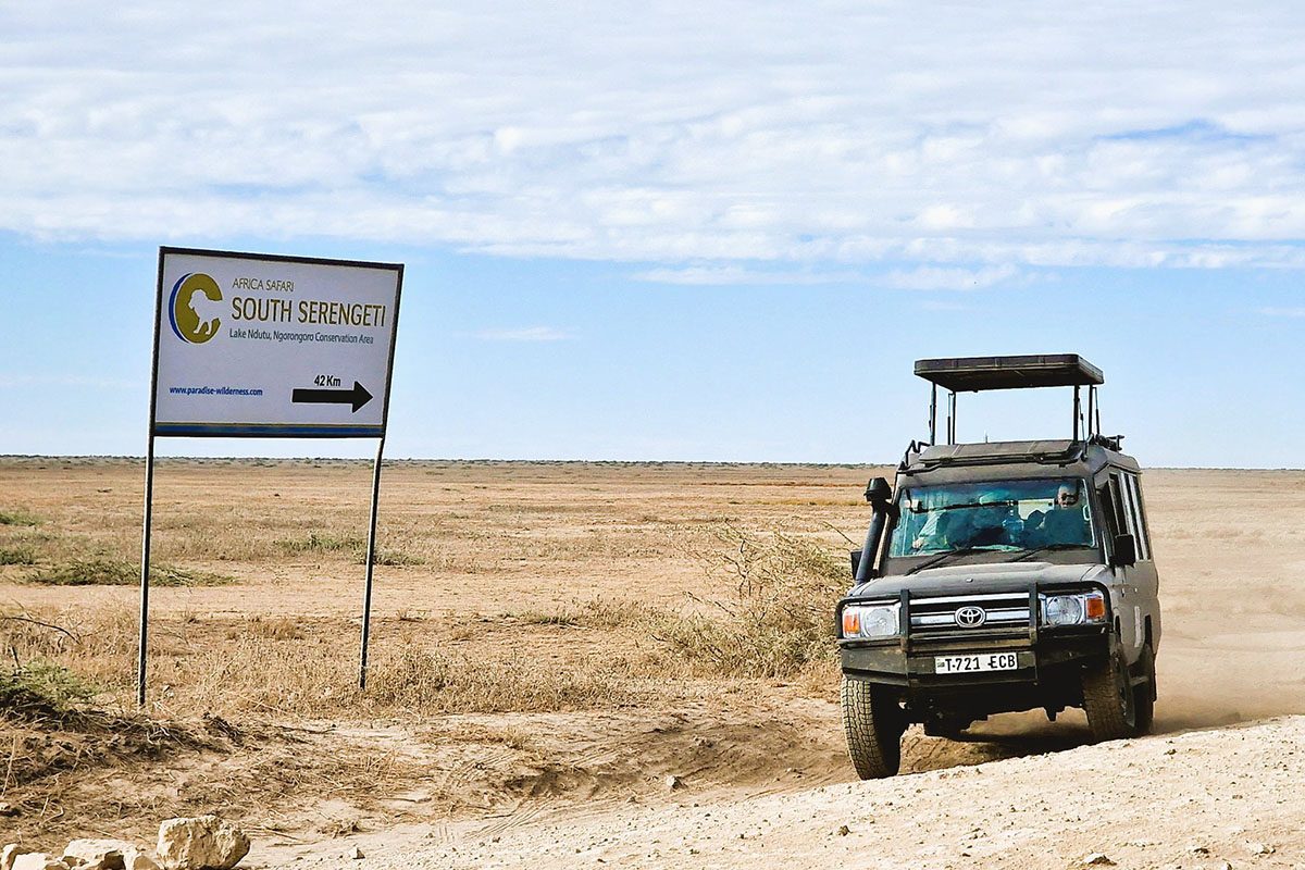 Africa Safari South Serengeti location