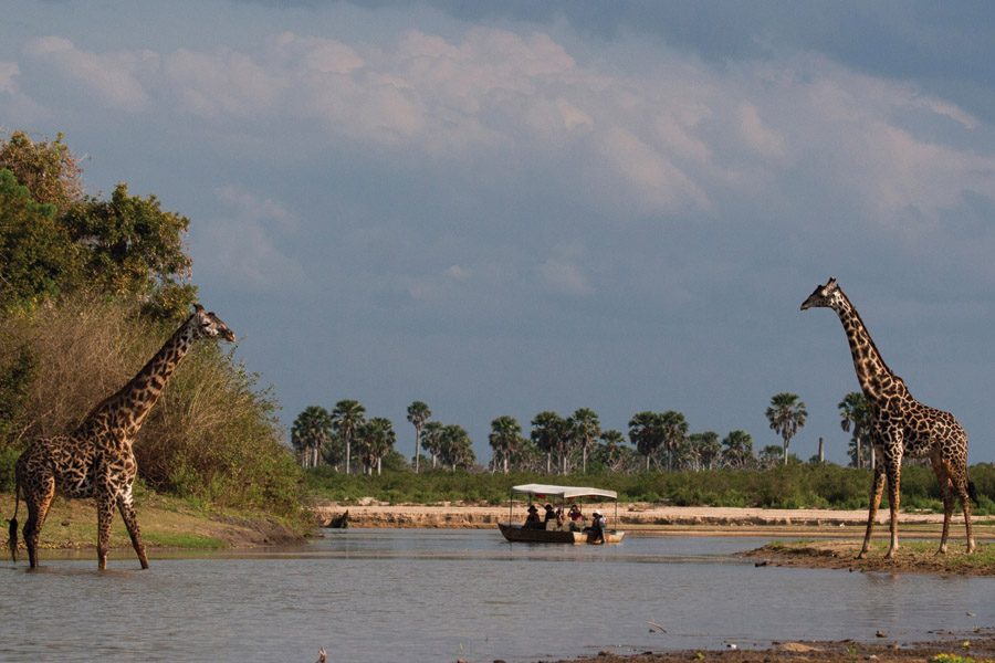 SELOUS-GAME-RESERVE