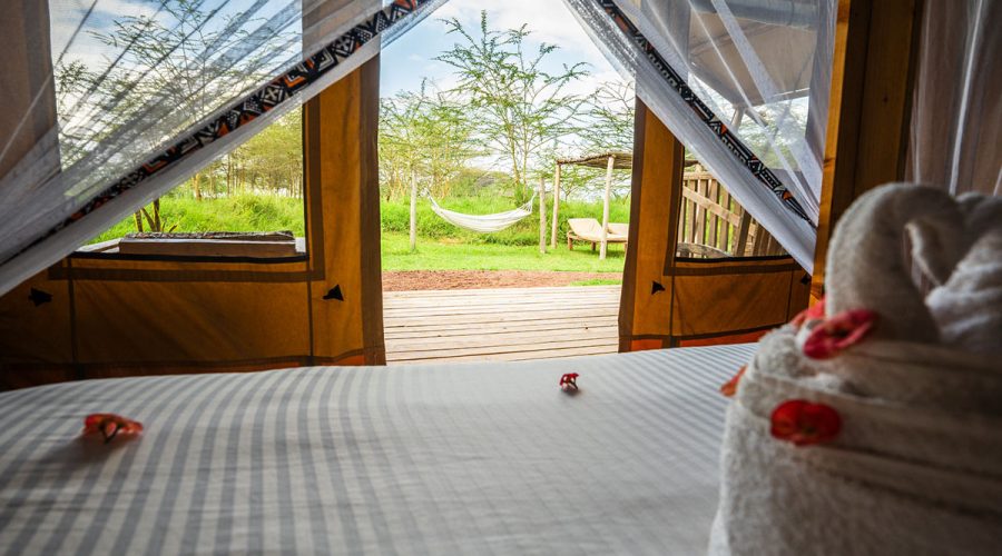 Safari Luxury GlampingSafari Luxury Glamping