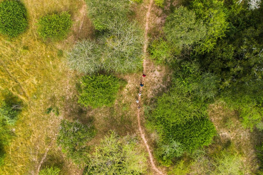 Walking Safari Selous Game Reserve