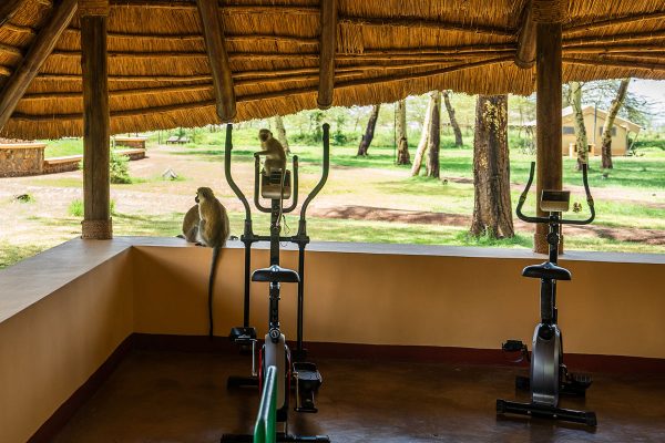 africa safari lake manyara facilities 01