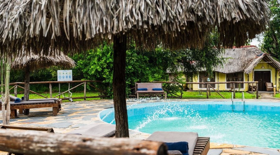 africa safari selous Pool Bungalow