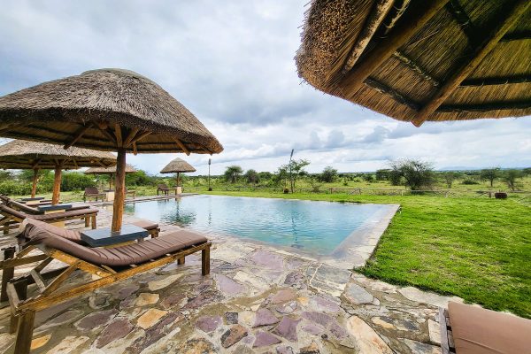 africa-safari-serengeti-ikoma pool 01