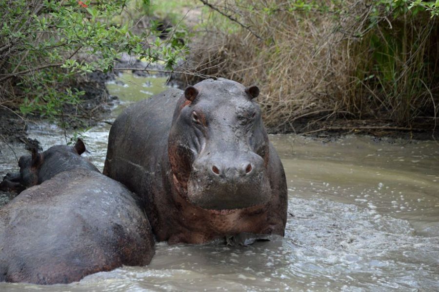 lake_manyara_safari_park1.