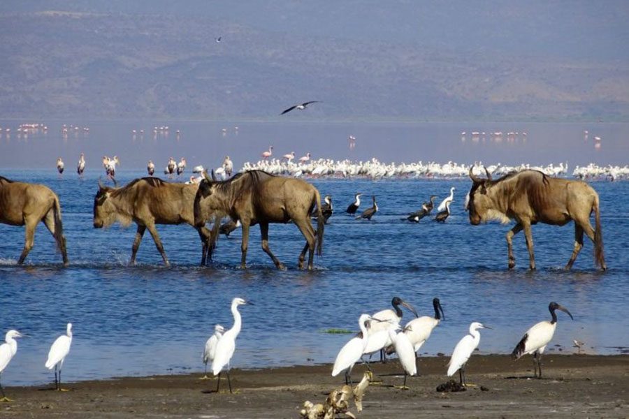 lake_manyara_safari_park2.-845x684