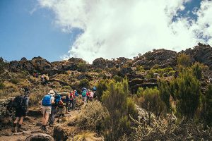 TANZANIA, KILIMANJARO - OCTOBER 12, 2016: Kilimanjaro National Park, jungle with guide, porter and cameraman