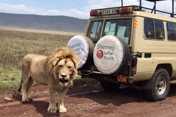 safari_parks_ngorongoro-845x684-1