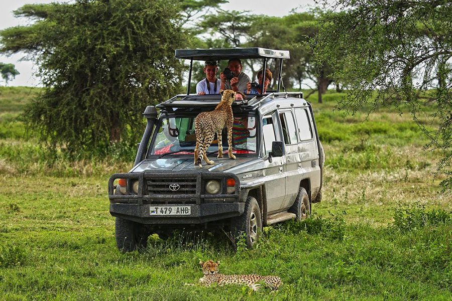 serengeti_safari_park2