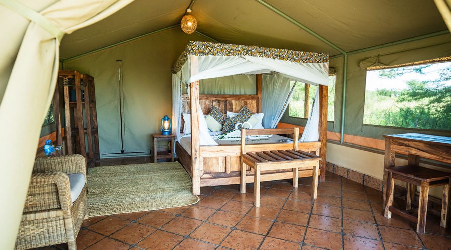 shemeji africa serengeti ikoma Safari Comfort Accommodation