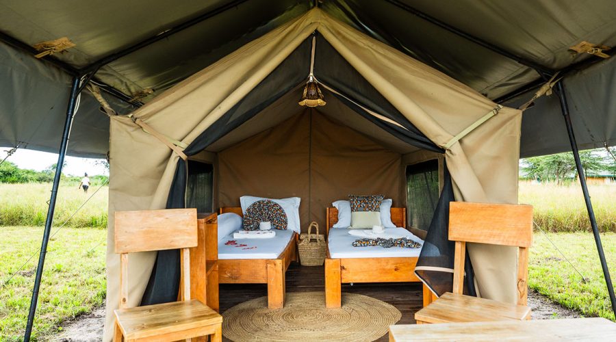 shemeji africa serengeti ikoma Safari Tent