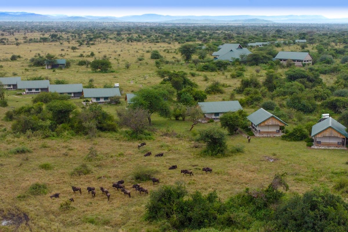 shemeji africa serengeti ikoma location