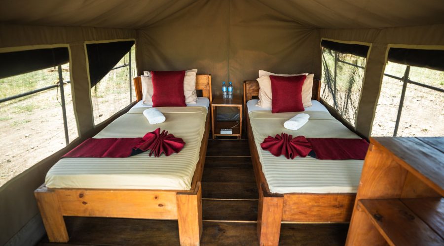 shemeji-safari-africa-safari-lake-natron-safari-tent