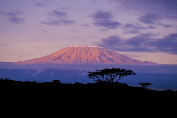 Mount Kilimanjaro is a dormant volcano located in Kilimanjaro Region of Tanzania. Africa.