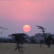 Ikoma Safari Area Thumbnail