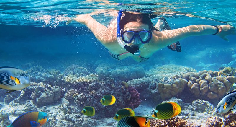 Snorkeling and exploring the coral reefs in Zanzibar