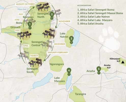 An overview of the Northern Safari Parks in Tanzania with Africa Safari accommodations